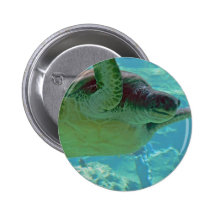 Tortuga de mar pins