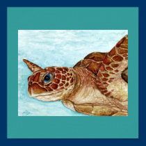 Tortuga de mar posters
