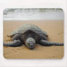 Tortuga de mar tapete de ratón