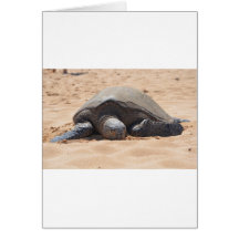 Tortuga de mar tarjeta