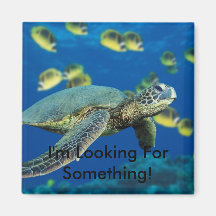 ¡Tortuga de mar verde, estoy buscando algo! Imán
