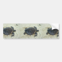 Tortuga de mar verde pegatina de parachoque