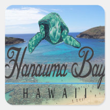 Tortuga de Oahu de la bahía de Hawaii Hanauma Calcomanía Cuadradas