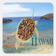 Tortuga de Oahu de la bahía de Hawaii Hanauma Pegatinas