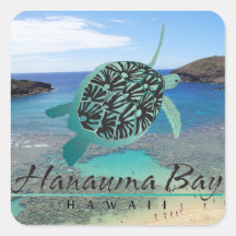 Tortuga de Oahu de la bahía de Hawaii Hanauma Calcomanías Cuadradases