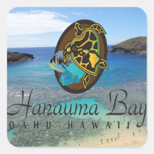 Tortuga de Oahu de la bahía de Hawaii Hanauma Etiquetas