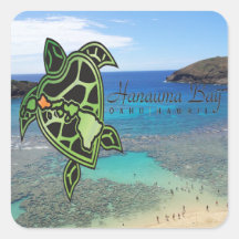 Tortuga de Oahu de la bahía de Hawaii Hanauma Etiqueta