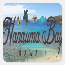 Tortuga de Oahu de la bahía de Hawaii Hanauma Calcomania Cuadradas