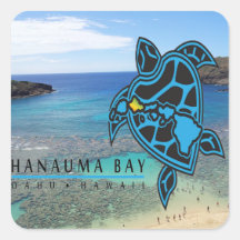 Tortuga de Oahu de la bahía de Hawaii Hanauma Etiqueta