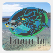 Tortuga de Oahu de la bahía de Hawaii Hanauma Pegatinas Cuadradases Personalizadas