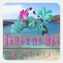 Tortuga de Oahu de la bahía de Hawaii Hanauma Colcomanias Cuadradas Personalizadas