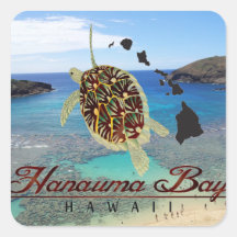 Tortuga de Oahu de la bahía de Hawaii Hanauma Calcomanías Cuadradas