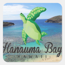 Tortuga de Oahu de la bahía de Hawaii Hanauma Pegatina Cuadradas
