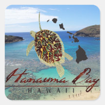 Tortuga de Oahu de la bahía de Hawaii Hanauma Calcomanía Cuadradas