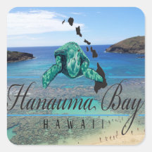 Tortuga de Oahu de la bahía de Hawaii Hanauma Etiquetas