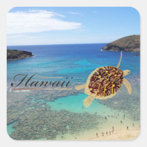 Tortuga de Oahu de la bahía de Hawaii Hanauma Calcomanía Cuadrada