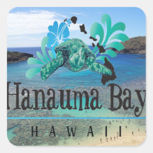 Tortuga de Oahu de la bahía de Hawaii Hanauma Pegatina