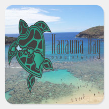 Tortuga de Oahu de la bahía de Hawaii Hanauma Calcomanias Cuadradas
