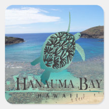 Tortuga de Oahu de la bahía de Hawaii Hanauma Etiqueta