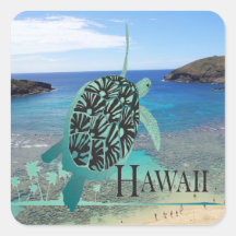 Tortuga de Oahu de la bahía de Hawaii Hanauma Calcomanías Cuadradases