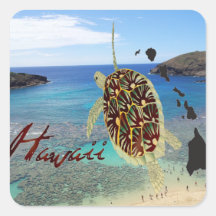 Tortuga de Oahu de la bahía de Hawaii Hanauma Colcomanias Cuadradas