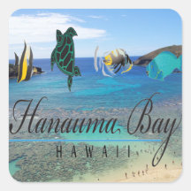 Tortuga de Oahu de la bahía de Hawaii Hanauma Pegatinas Cuadradas Personalizadas