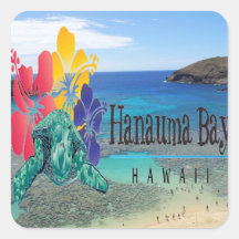 Tortuga de Oahu de la bahía de Hawaii Hanauma Calcomanía Cuadrada