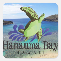Tortuga de Oahu de la bahía de Hawaii Hanauma Colcomanias Cuadradases