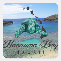 Tortuga de Oahu de la bahía de Hawaii Hanauma Pegatinas Cuadradases Personalizadas