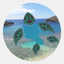 Tortuga de Oahu de la bahía de Hawaii Hanauma Etiqueta Redonda