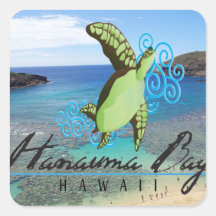 Tortuga de Oahu de la bahía de Hawaii Hanauma Calcomania Cuadradas