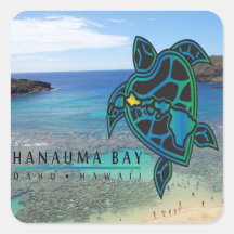 Tortuga de Oahu de la bahía de Hawaii Hanauma Calcomanias Cuadradas