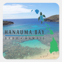 Tortuga de Oahu de la bahía de Hawaii Hanauma Pegatina Cuadradas