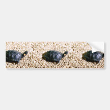Tortuga del pantano pegatina de parachoque