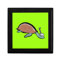 tortuga del salto cajas de regalo
