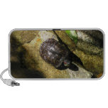 Tortuga en el Sun iPod Altavoces