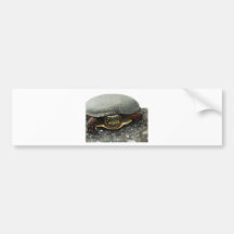 TORTUGA ETIQUETA DE PARACHOQUE