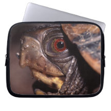 tortuga funda computadora