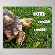Tortuga hambrienta - "nom del nom de OM " Impresiones