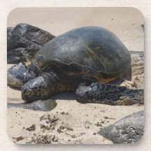 tortuga posavasos de bebida