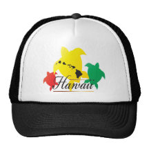 Tortugas del reggae de Hawaii Gorros Bordados