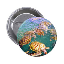 Tortugas en el juego pin