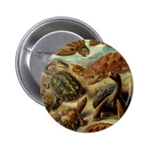 Tortugas Pins