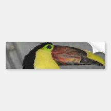 Toucan Bumpersticker Pegatina De Parachoque