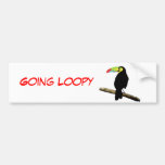 Toucan simple etiqueta de parachoque