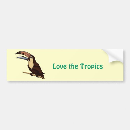 Toucan talló de maderas tropicales etiqueta de parachoque