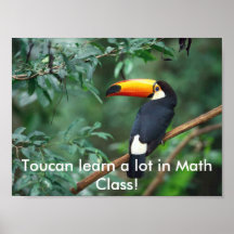 ToucanMath Posters