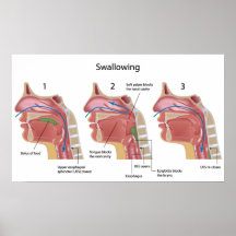 Tragar el poster de proceso