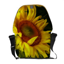 Tráigame el girasol bolsas de mensajería