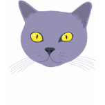 Trance del gato